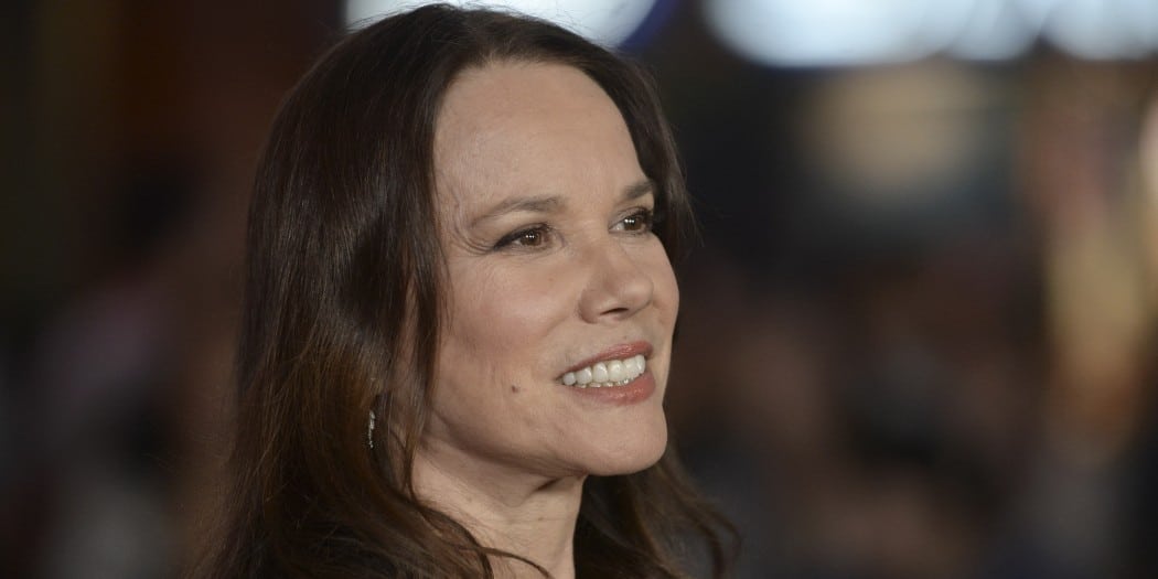 Barbara Hershey Net Worth - Net Worth Post