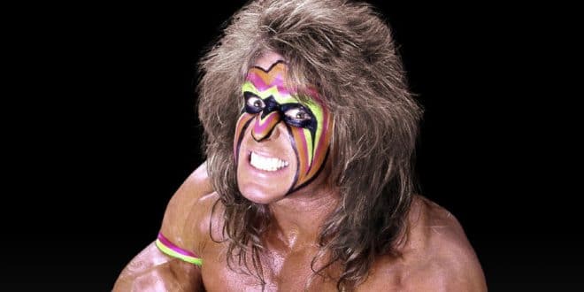Ultimate Warrior Net Worth